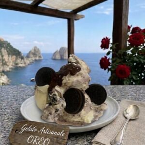 Authentic Italian Artisanal Gelato Oreo