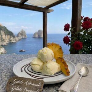 Authentic Italian Artisanal Gelato Pineapple