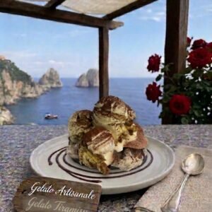 Authentic Italian Artisanal Gelato Tiramisu