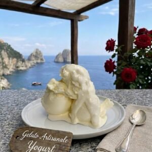 Authentic Italian Artisanal Gelato Yogurt