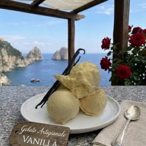 Authentic Italian Artisanal Gelato Vanilla